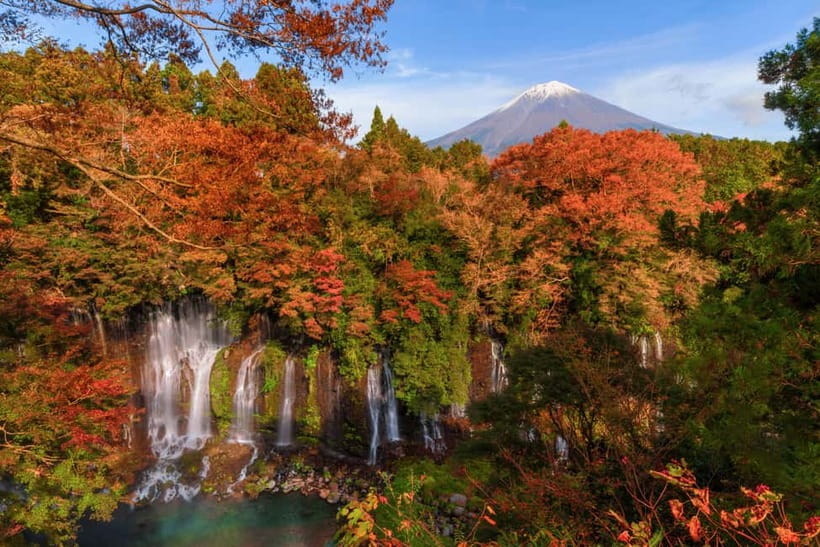 From Tokyo: Private Tour to Fuji/Hakone - Onsen, Art, Nature - Lake Ashi and the red gate at Hakone Shrine