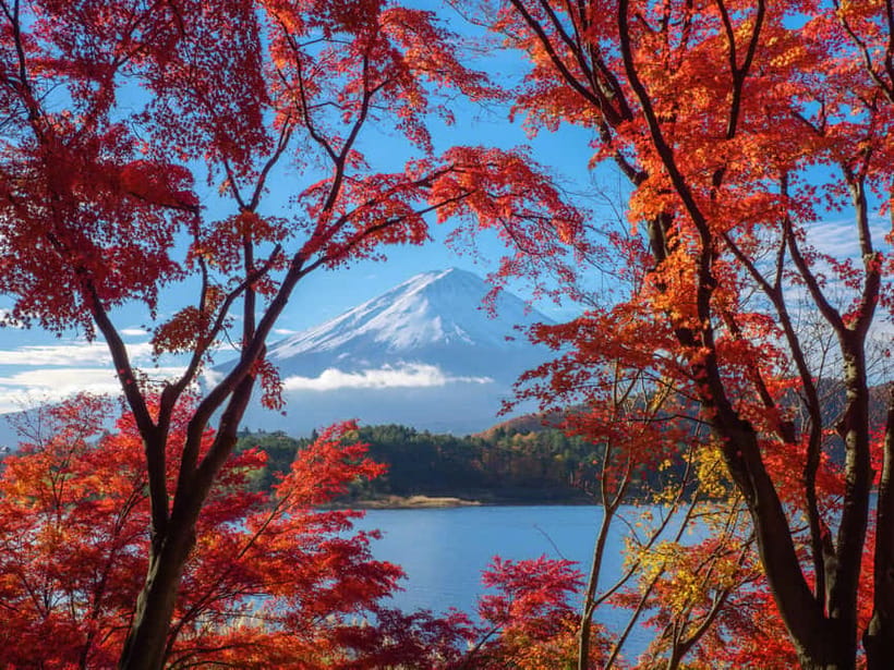 From Tokyo: Private Tour to Fuji/Hakone - Onsen, Art, Nature - Tenzan Onsen, lunch, and the customs of bathing