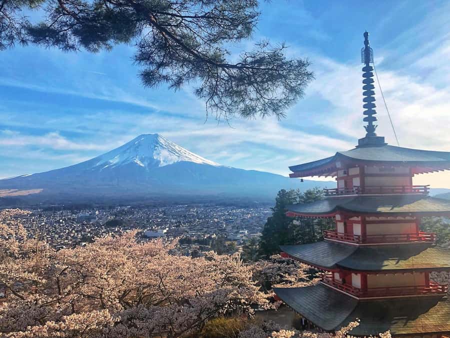 From Tokyo: Private Trip to Mount Fuji and Lake Kawaguchi - Oishi Park adds flowers, lake views, and a short walk