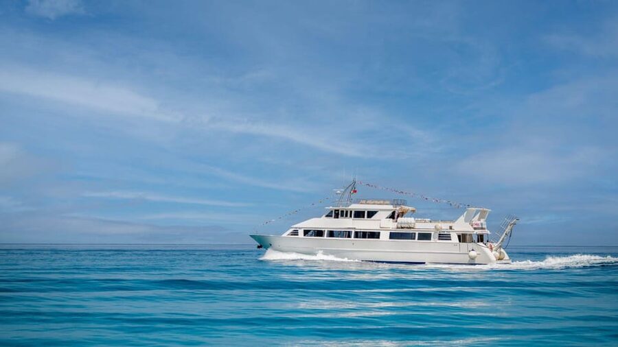 From Tropea: Lipari Panarea Stromboli Night Cruise - Three islands, one very long day