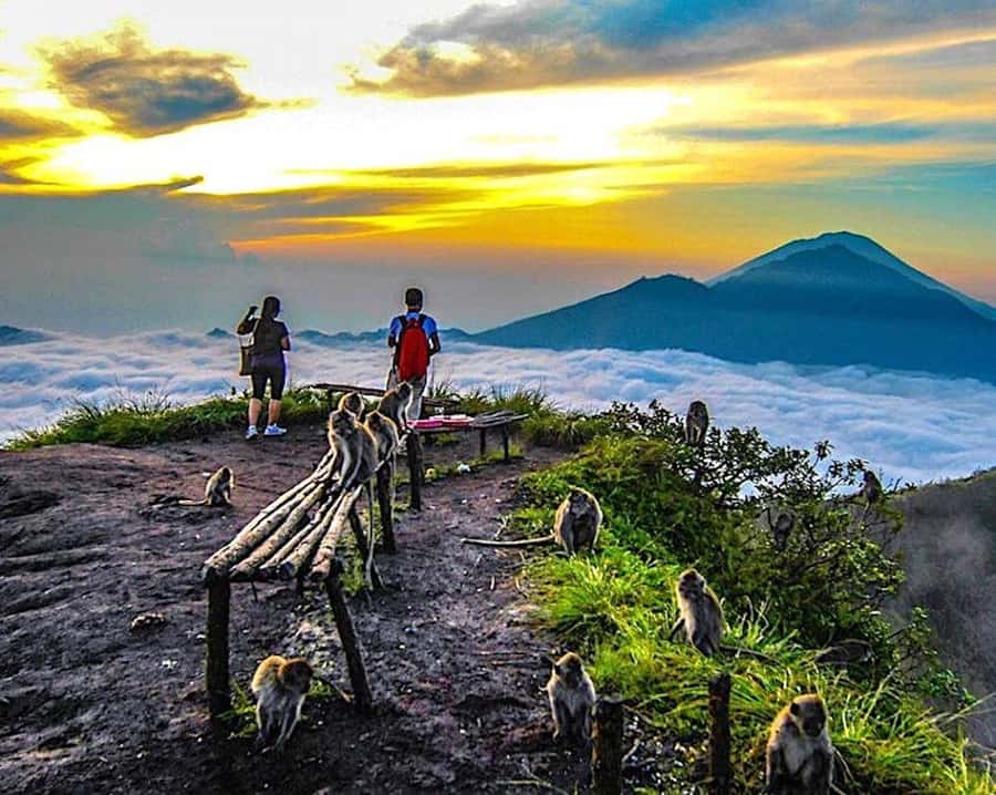From Ubud: Mount Batur Hiking - What the $20 price really gives you