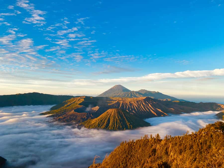 From Yogyakarta : 3Days Bromo-Ijen Vulcano drop Bali Hotel - Day 1: seven hours from Yogyakarta to Bromo
