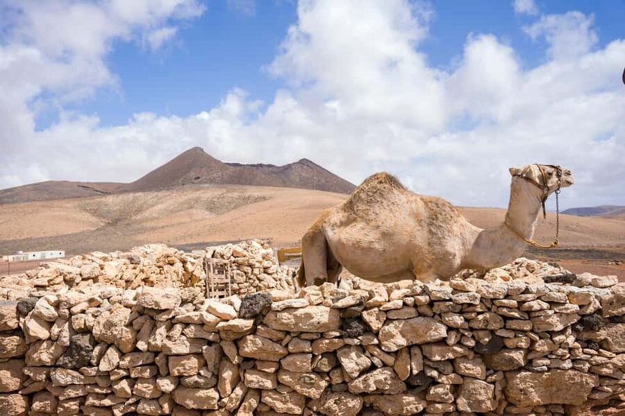 Fuerteventura: volcanic hike to the crater edge - What the five-hour schedule means for your day