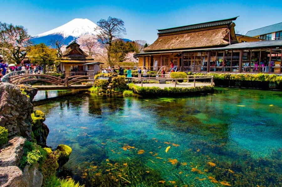 Fuji/Hakone Private Tour, English speaking guide, Photograph - A private route from Tokyo to Mount Fuji and Hakone
