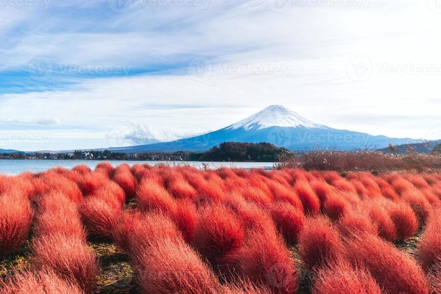 Fuji/Hakone Private Tour, English speaking guide, Photograph - Chureito Pagoda, Japan’s classic Fuji photograph