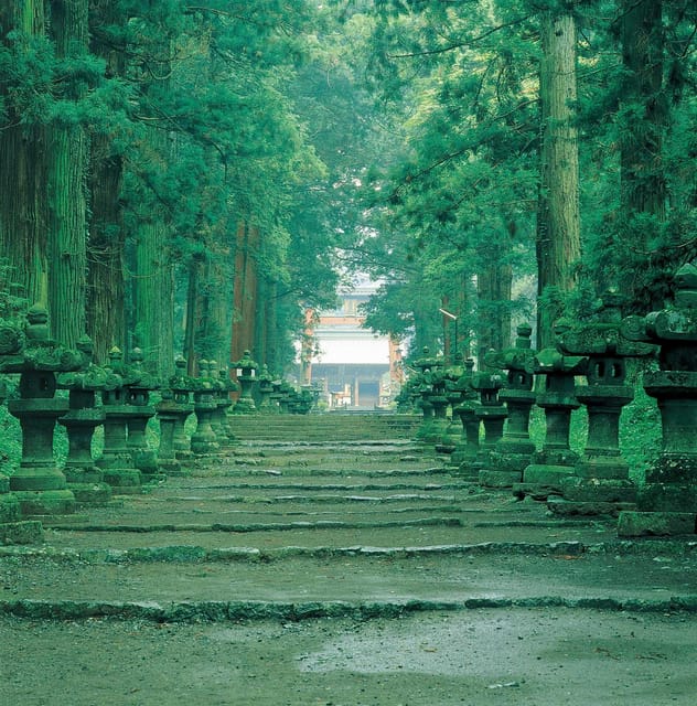 Fuji/Hakone Private Tour, English speaking guide, Photograph - Lake Kawaguchiko and Oishi Park
