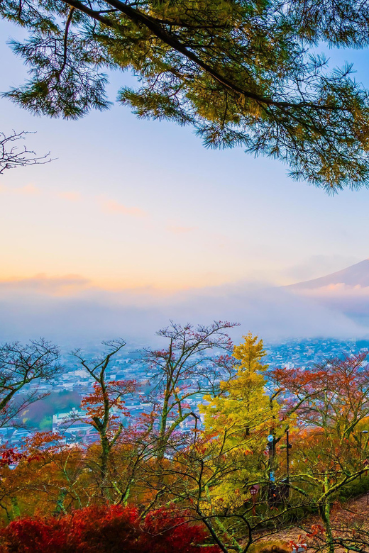 Fuji/Hakone Private Tour, English speaking guide, Photograph - Mount Fuji 5th Station and the limits of mountain views