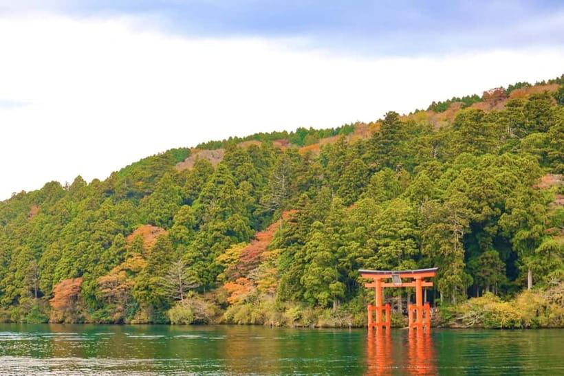 Fuji,Hakone Ropeway/Cruise/Shinkansen Ride w/lunch frm Tokyo - The pace, meeting point, and practical limits