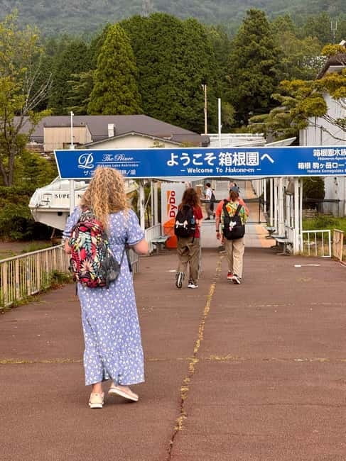 Fuji,Hakone Ropeway/Cruise/Shinkansen Ride w/lunch frm Tokyo - Who will enjoy this Fuji and Hakone combination