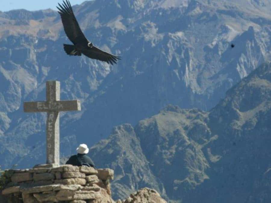 Full-Day Colca Canyon Tour from Arequipa - Key points to know before booking