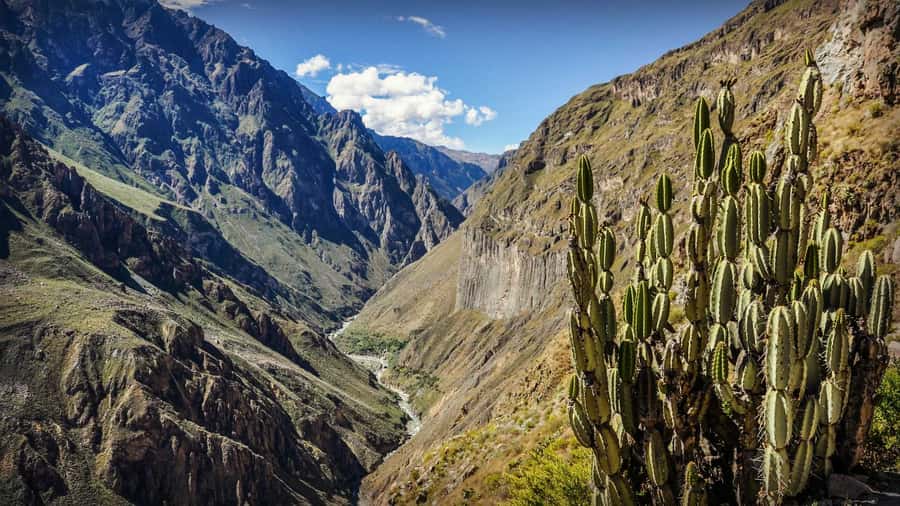 Full-Day Colca Canyon Tour from Arequipa - Patapampa at 4,800 meters