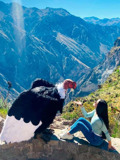 Full day excursion to Colca Canyon - Chivay buffet lunch