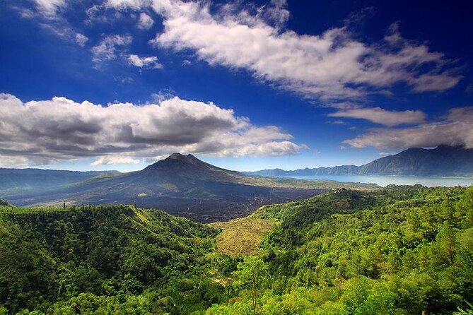 Full Day Kintamani Volcano View and Ubud Village Tour - Why a private car matters on this Bali route