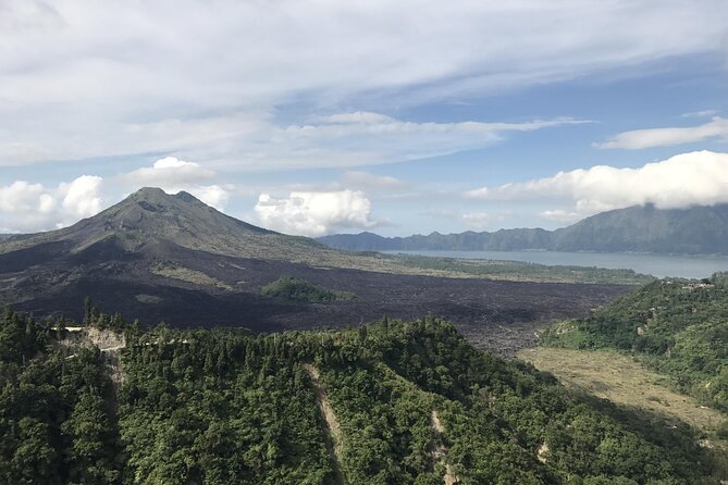 Full Day Kintamani Volcano View and Ubud Village Tour - Ubud Monkey Forest, temples, and watchful animals
