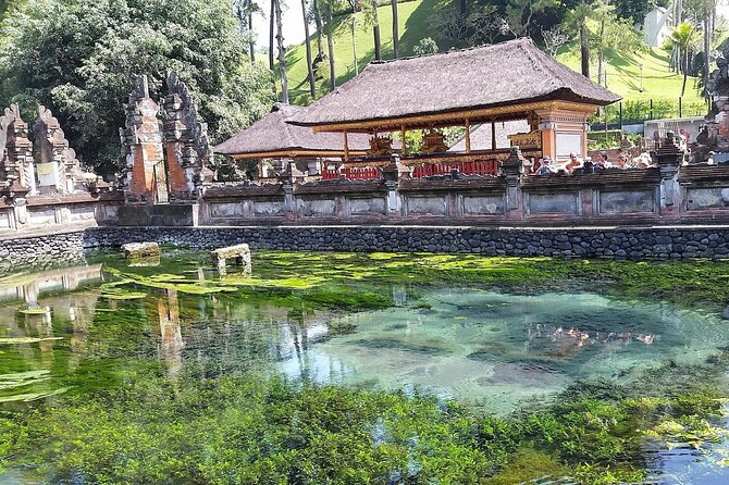 Full Day Kintamani Volcano View and Ubud Village Tour - Tegalalang’s terraces and the value of a short stop