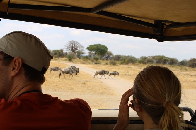 Full-Day Ngorongoro Crater private tour - Why this Ngorongoro day trip works for a short Tanzania visit