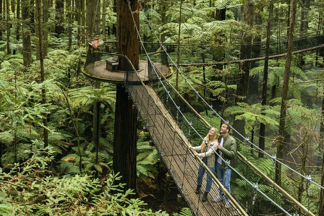 FULL DAY ROTORUA TOUR - Fully Customisable 13 hours Unlimited KMS - A private road trip rather than a fixed excursion