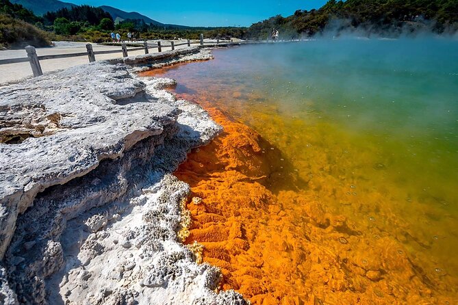 FULL DAY ROTORUA TOUR - Fully Customisable 13 hours Unlimited KMS - Hobbiton and Blue Spring