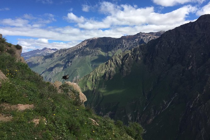 Full Day Tour / Colca Canyon - What you actually see of Colca Canyon