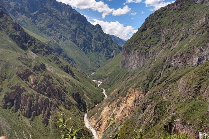 Full Day Tour / Colca Canyon - Alpacas, llamas, vicuñas, and the return route