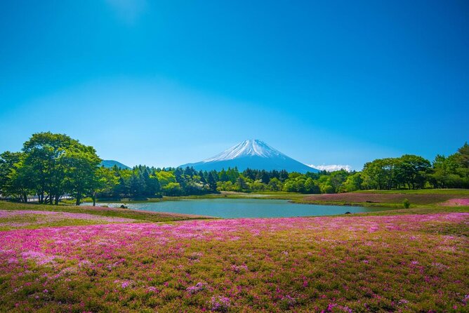 Full Day Tour to Mount Fuji in Spanish - Key points at a glance