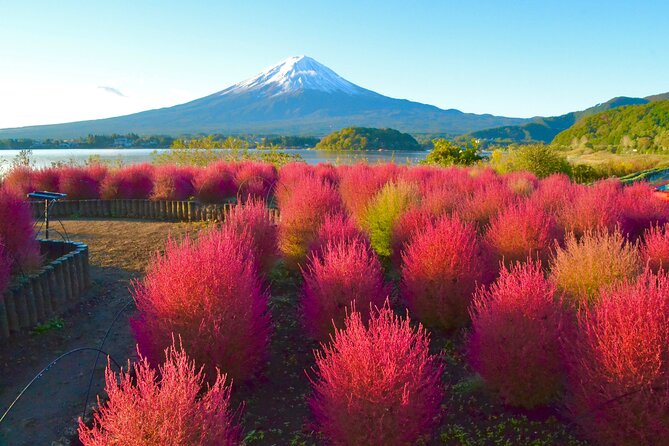 Full Day Tour to Mount Fuji in Spanish - Lake Kawaguchiko and the search for a clear Fuji