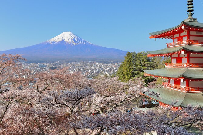 Full Day Tour to Mount Fuji in Spanish - Chureito Pagoda and the classic Japan photograph