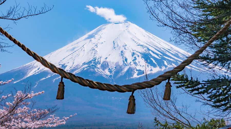 Full-Day Tour to the Picturesque Spots of Mount Fuji - Lake Kawaguchiko and Oishi Park in 40 minutes
