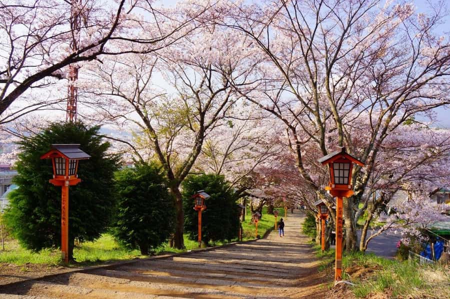 Full-Day Tour to the Picturesque Spots of Mount Fuji - Oshino Hakkai and Mount Fuji’s spring water