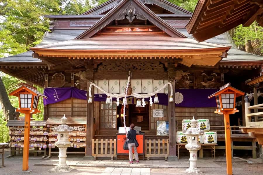 Full-Day Tour to the Picturesque Spots of Mount Fuji - The guide and the pace of the day