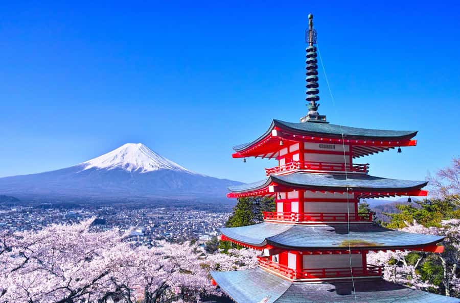 Full-Day Tour to the Picturesque Spots of Mount Fuji - What to eat, bring, and plan for