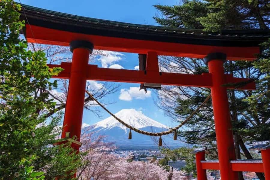 Full-Day Tour to the Picturesque Spots of Mount Fuji - Who should book this $49 tour?