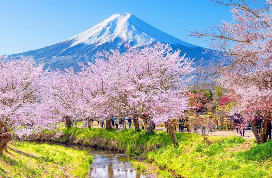 Full-Day Tour to the Picturesque Spots of Mount Fuji - Leaving Tokyo for the Fuji Five Lakes area