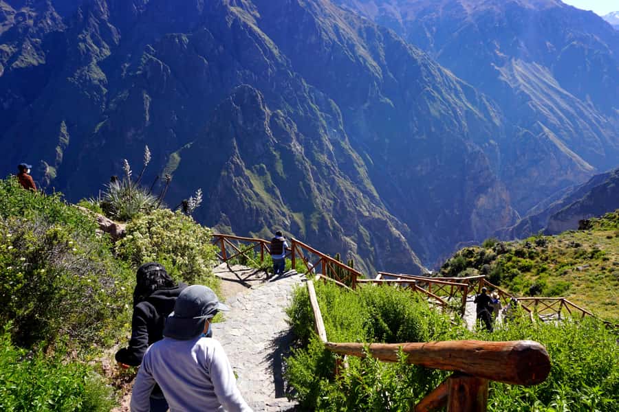 Full Day Trip to Colca Canyon from Arequipa ending in Puno - Vicuñas, llamas, and the Pampa Cañahuas reserve