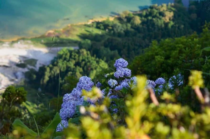 Furnas: Hot Springs, Crater Lake & Geothermal Wonders - Key points to know before booking