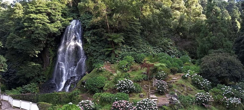 Furnas: Hot Springs, Crater Lake & Geothermal Wonders - Gorreana Tea Plantation and a proper tasting stop