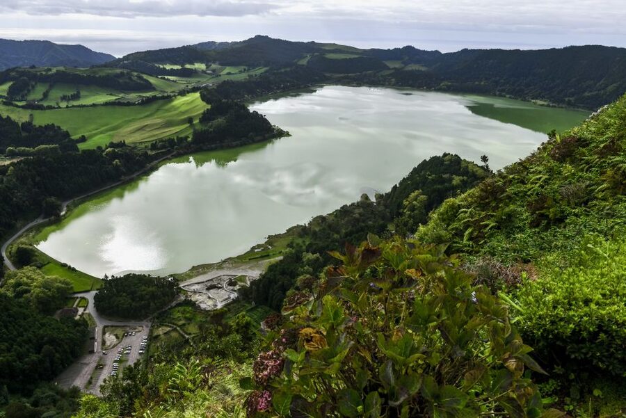 Furnas: Tea Plantations, Lake and Volcano Guided Tour - Why this São Miguel day trip works