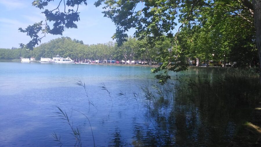 Girona: Volcano Area, Besalú, and Banyoles Lake Tour - What the $162 price gets you