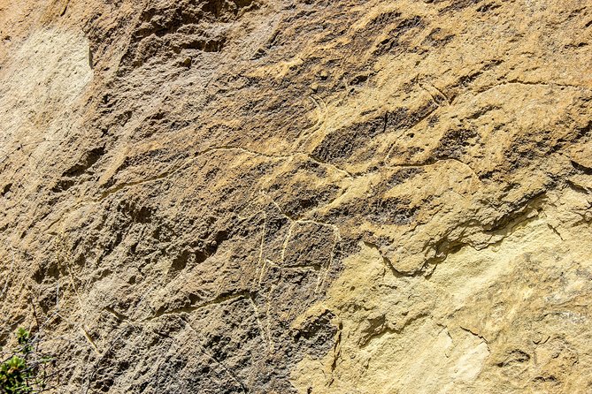 Gobustan and Mud volcanoe GROUP TOUR - The mud volcanoes offer a very different hour