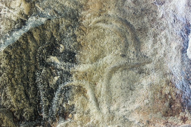 Gobustan and Mud volcanoes PRIVATE TOUR - Transport and guide quality make the difference