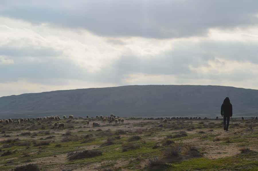Gobustan, Mud Volcano, Burning Land and Fire Temple Tour - Key points to know before booking