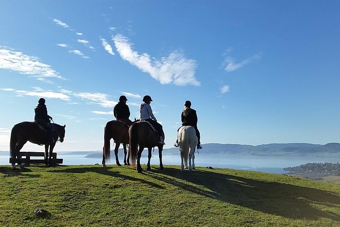 Guided Horse Trekking from Rotorua - Key points to know before you book