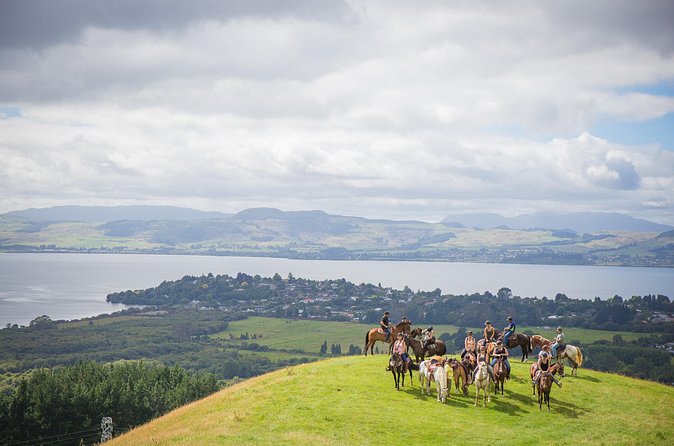 Guided Horse Trekking from Rotorua - Why the Mt. Ngongotaha foothills make a good riding area