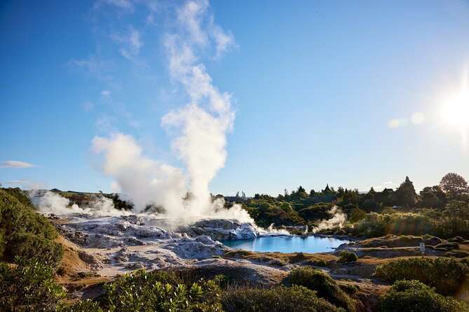 Guided Horse Trekking from Rotorua - The Lake Rotorua lookout
