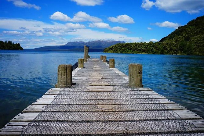 Guided Horse Trekking from Rotorua - Who will enjoy this Rotorua horse trek?