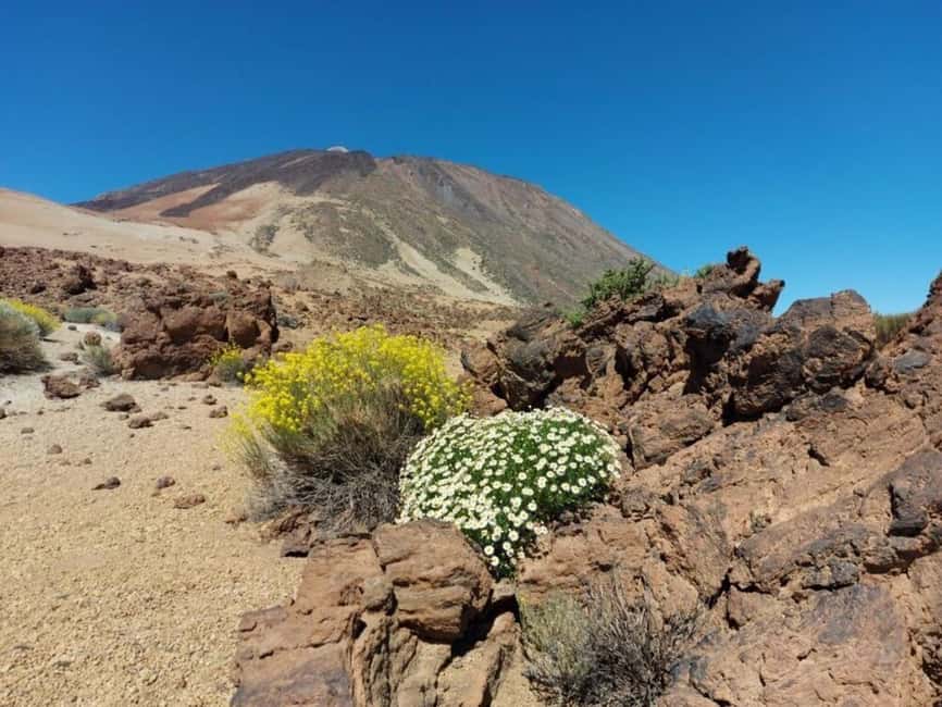 Guided tour of Roques de Garcia - Teide National Park - Roques de García, where the walk begins