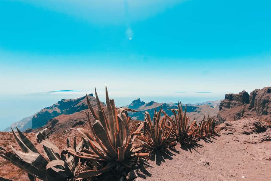 Guided tour of Roques de Garcia - Teide National Park - A short route through volcanic Tenerife
