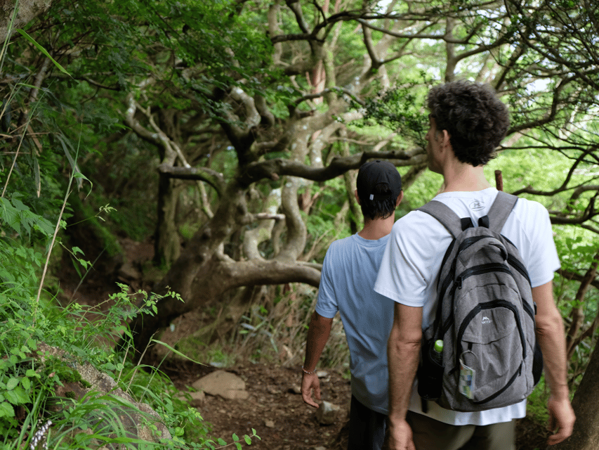 Hakone: Traverse the Hakone Caldera and Enjoy Onsen - The 30-minute descent and local lunch