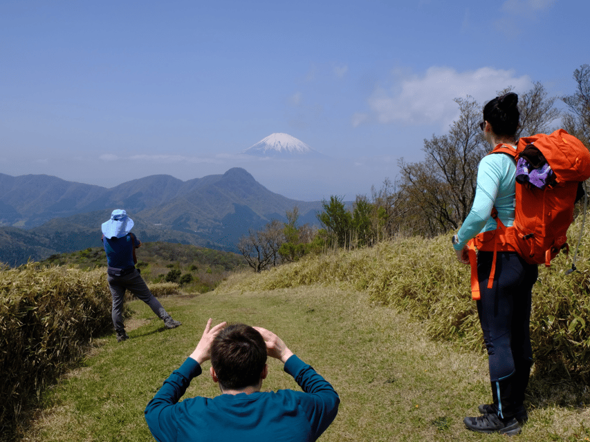 Hakone: Traverse the Hakone Caldera and Enjoy Onsen - Why the onsen is more than a pleasant extra