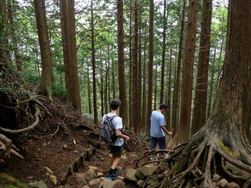 Hakone: Traverse the Hakone Caldera and Enjoy Onsen - What the $154 price really covers